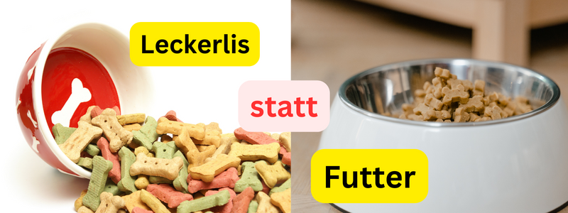 Leckerlies statt Futter