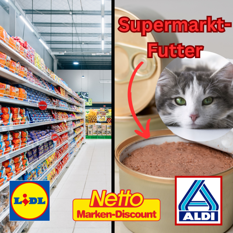 Gutes Katzenfutter aus dem Supermarkt: Wir zeigen euch die besten Discounter Katzenfutter Produkte.